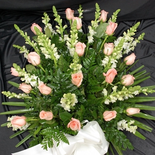 RAMO Nº10 - Imagen 1